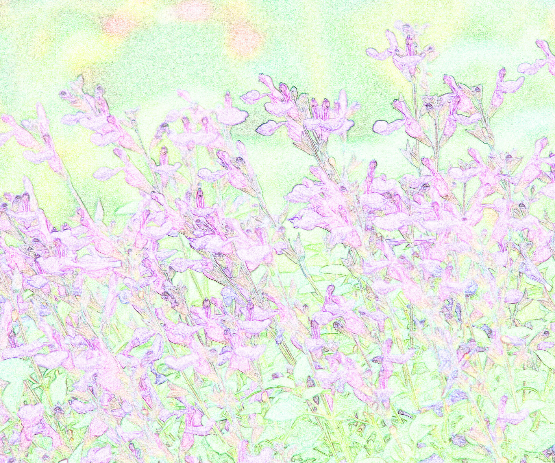 VIBE Ignition Purple